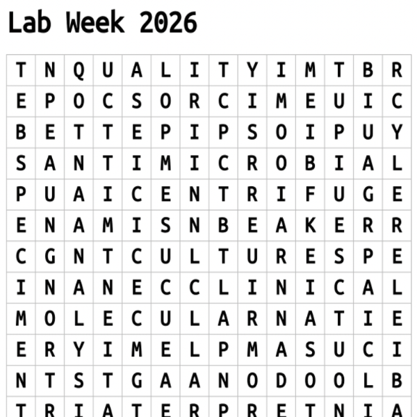 word_search_lab_week_2026_screenshot